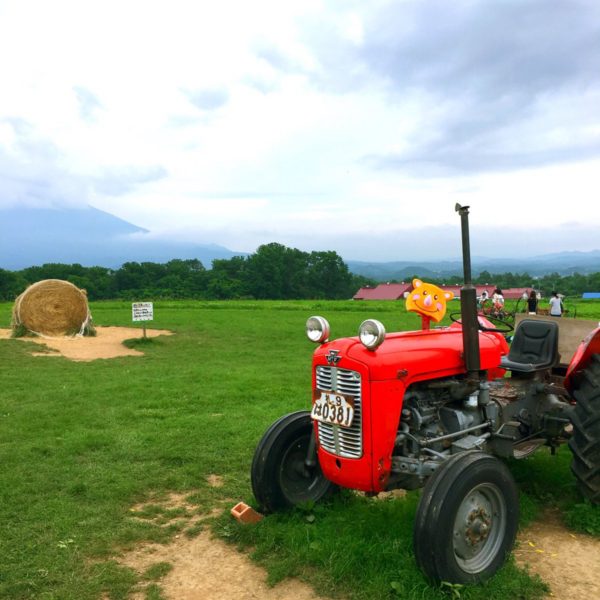農作業中ですよ❤️ 北海道の広い大地でメロンを作ってるツノっちです💕笑 是非ぶどうの他にメロンをリールの仲間入りにして下さいなっ♪(๑ᴖ◡ᴖ๑)♪